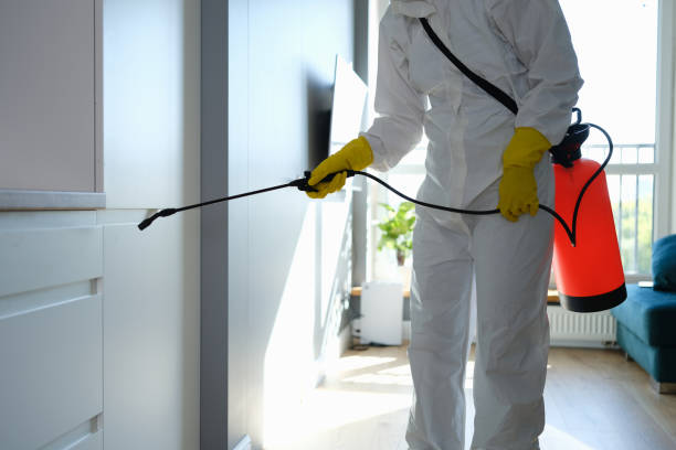 Best Professional Mold Removal  in Flatonia, TX