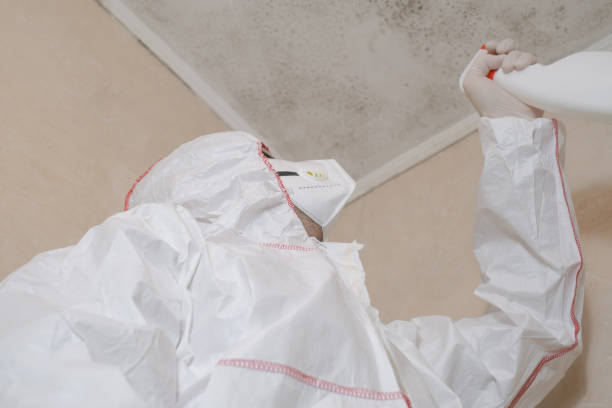 Best Emergency Mold Removal  in Flatonia, TX